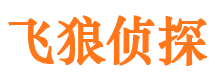 五指山市婚姻调查